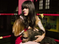 1232390570_batforlashes